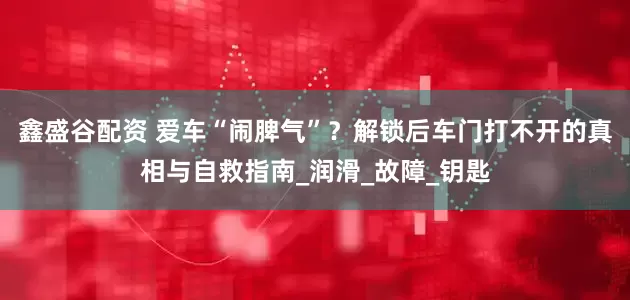 鑫盛谷配资 爱车“闹脾气”？解锁后车门打不开的真相与自救指南_润滑_故障_钥匙